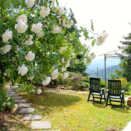 Sb Bed & Breakfast Σεμπόργκα Εξωτερικό φωτογραφία
