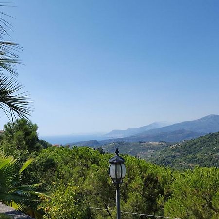 Sb Bed & Breakfast Σεμπόργκα Εξωτερικό φωτογραφία